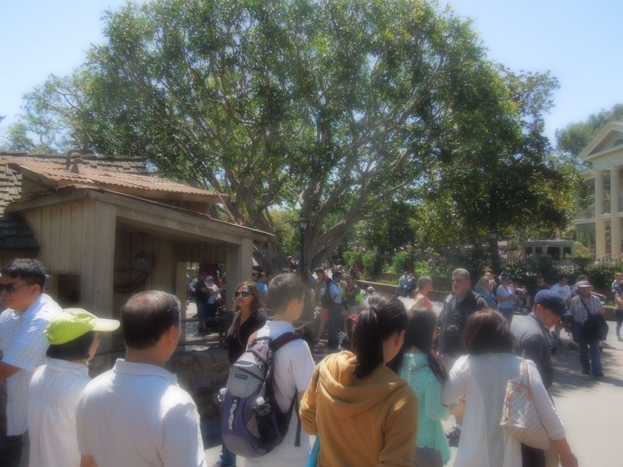 Disneyland Critter Country Riverside Picture